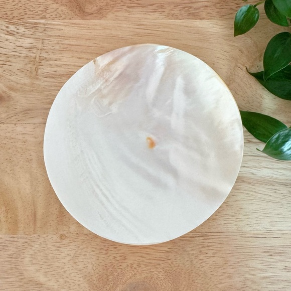 NWT Anthropologie shell caviar dish - Picture 6 of 6